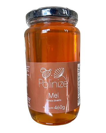 Mel Florada Silvestre 460g
