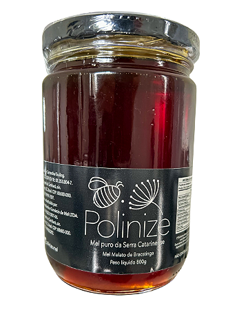 Mel Melato de Bracatinga 800g