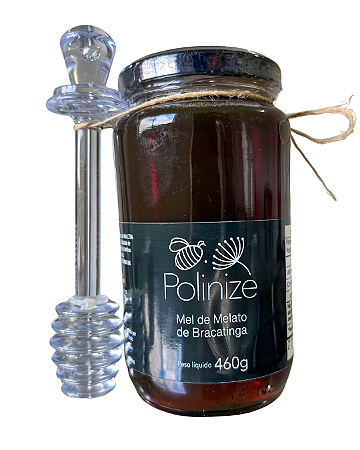 Kit mel de melato de bracatinga 460g com pegador de mel