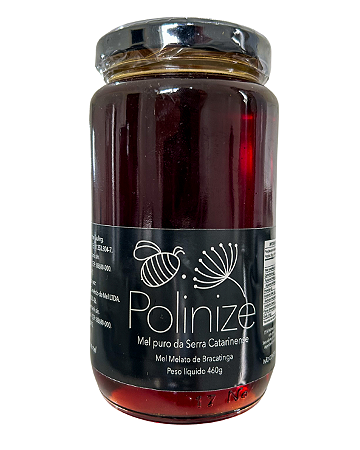 Mel Melato de Bracatinga 460g