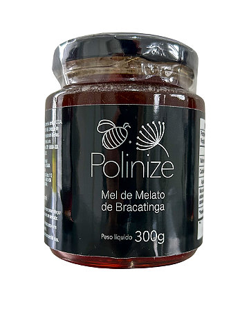 Mel de Melato da Bracatinga 300g