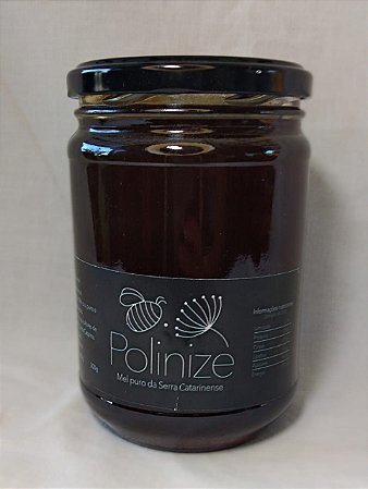 Blend de Mel Melato de Bracatinga com Mel Silvestre 800g