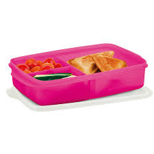 Tupperware Basic Line com Divisórias 1 litro Rosa Fluo