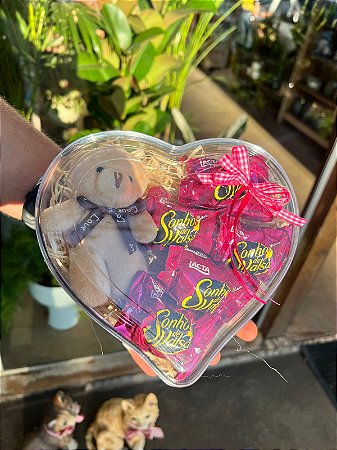 coraçao com chocolates e pelucia