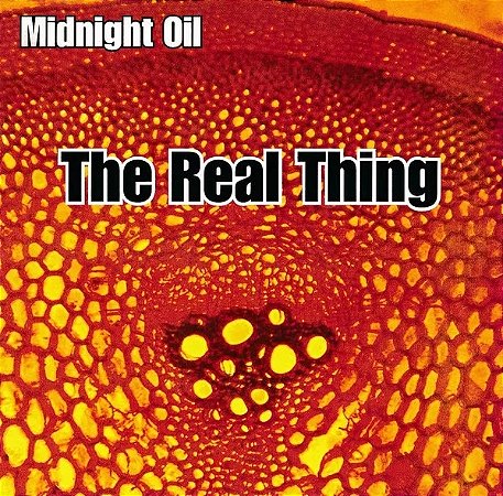 Midnight Oil - The Real Thing (Usado)
