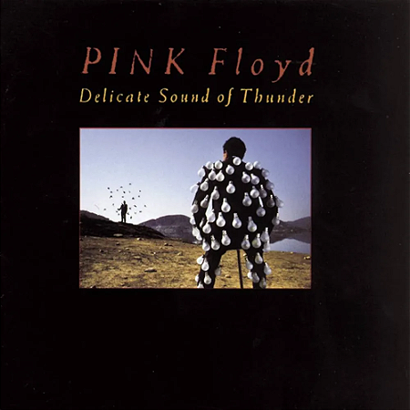 Pink Floyd - Delicate Sound Of Thunder (Usado)
