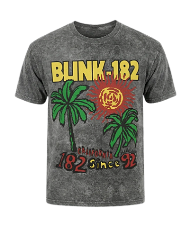 DUPLICADO - Camiseta Blink-182 One More Time