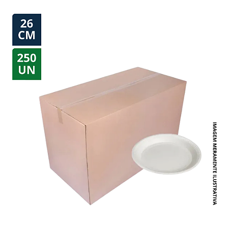 PRATO DE PLÁSTICO 26CM BRANCO PCT C/ 250UN