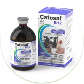 Catosal -B12 - Bayer