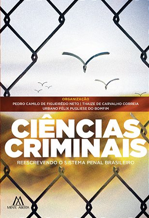 Ciências Criminais: reescrevendo o sistema penal brasileiro