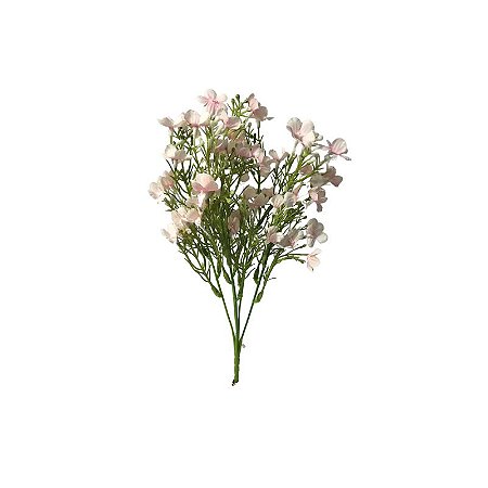 Flor de Linum EO-0041