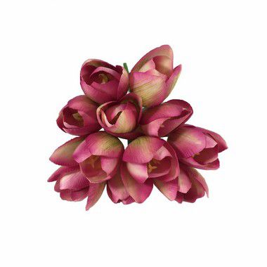 Maço de Mini Tulipa Yasmim FF-0002