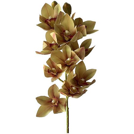 Galho de Orquídea Manu SY01492