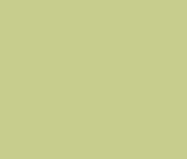 Tecido Tricoline Liso Verde (Vitamina de Abacate) - Tecidos Caldeira - 50 x 150 cm