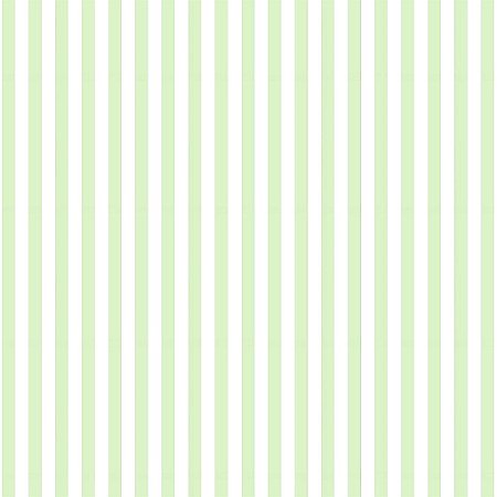 Tecido Tricoline Listrado Verde Claro (8 mm) - Peripan - 50 x 150 cm