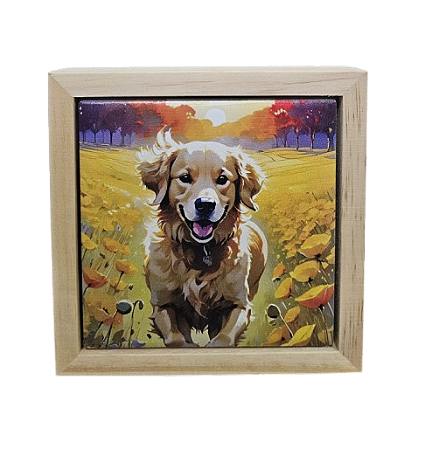 07-50-C142 Quadro Apoio - Golden