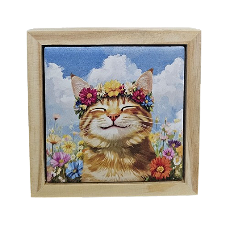 07-50-C141 Quadro Apoio - Cat