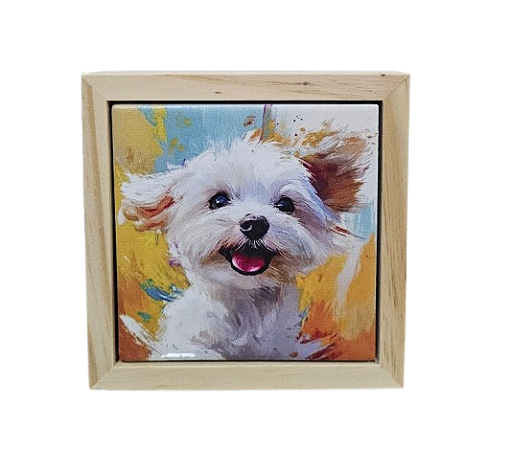 07-50-C144 Quadro Apoio - Lhasa