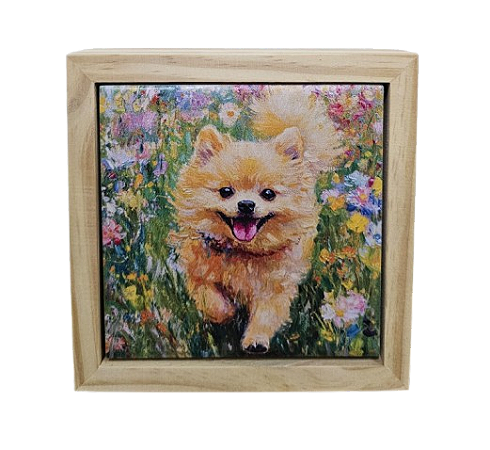 07-50-C147 Quadro Apoio - Spitz