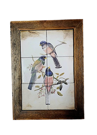 3093AM-170 Quadro de azulejo - Pássaros Trogons
