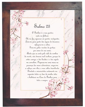 3093PG-053 Quadro Poster - Salmo 23