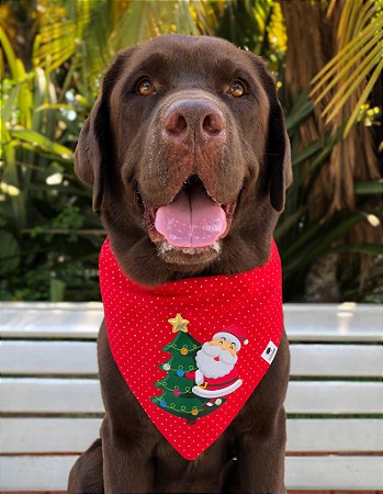 Bandana para cães Árvore de Natal