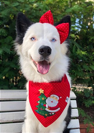 Kit Bandana Laço e bandana Árvore de Natal