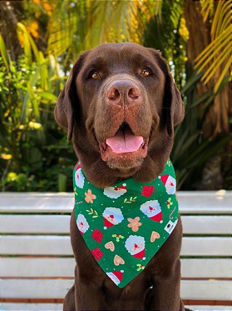 Bandana para cães Noel