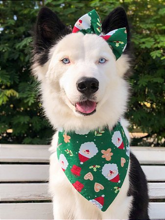 Kit Laço e bandana Natal Noel