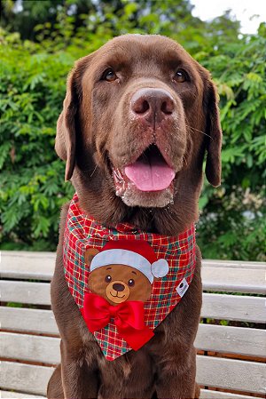 Bandana para cães Natal