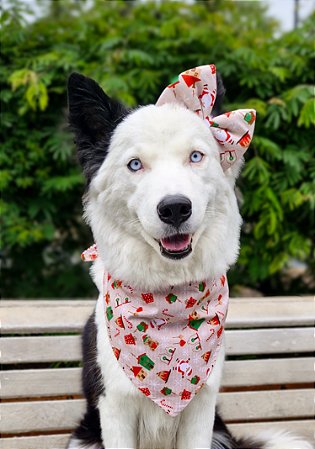 Kit Laço e bandana Natal bege