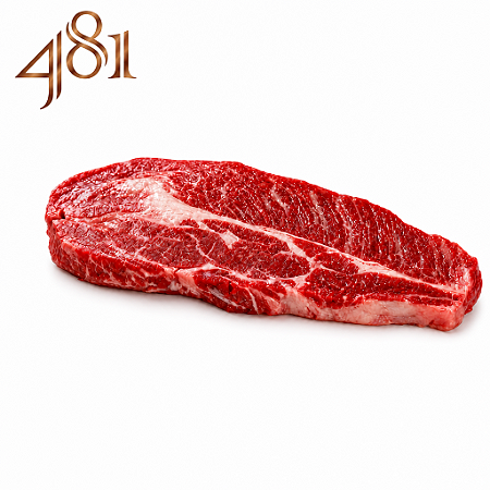 SHORT RIB - 481