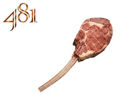 TOMAHAWK - 481