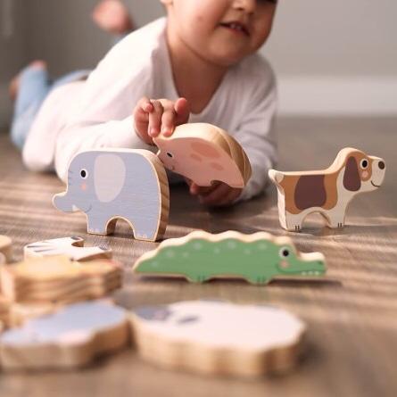 Kit Coleção Animais - 12+