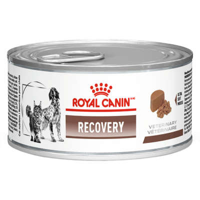Alimento Royal Canin Veterinary Diet Canine Recovery para Cão Adulto Todos os Tamanhos Sabor Mix em Lata de 195g