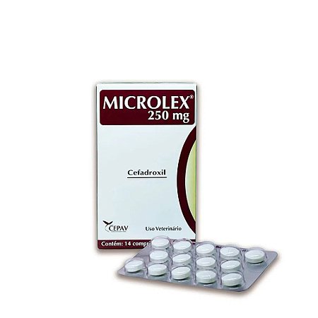 Antibiótico Microlex Cefadroxil Cães e Gatos 250mg