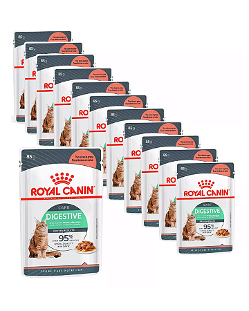 Sachê Royal Canin Feline Digestive Care 85g Kit Com 12 Unidades