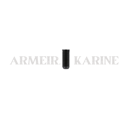 PARAFUSO DA BASE DO PISTOL GRIP AEG M4 [CYMA]
