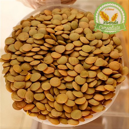 Lentilha