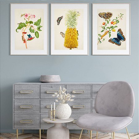 Coleção "Metamorphosis: frutas e insetos tropicais" por Maria Sibylla