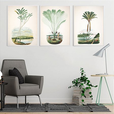 Coleção "Palmeiras, Rios & Paisagens Amazônicas por João Barbosa Rodrigues"