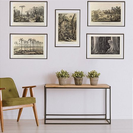 Coleção "Domínios Naturais Brasileiros por Martius"