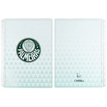 Capa e Contracapa PALMEIRAS Alviverde