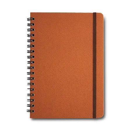 Caderno Espiral Colegial Clássica Pautado Caramelo 1 Matéria 80 fls