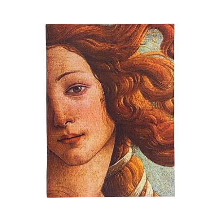 CADERNETA HISTÓRIA DA ARTE – O NASCIMENTO DE VÊNUS SANDRO BOTTICELLI