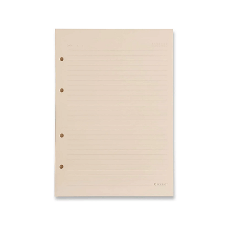 Refil Caderno Argolado 40FLS Polen 80g 17x24 Pautado