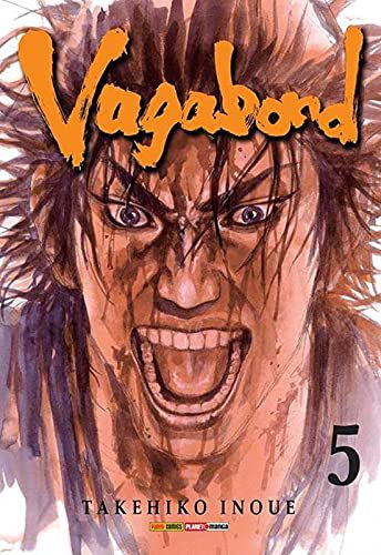 Vagabond Volume 5