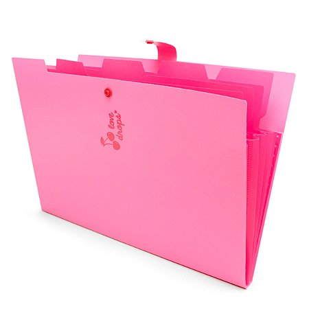 Pasta Sanfonada A4 c/ 5 Divisões Cereja POLIBRAS