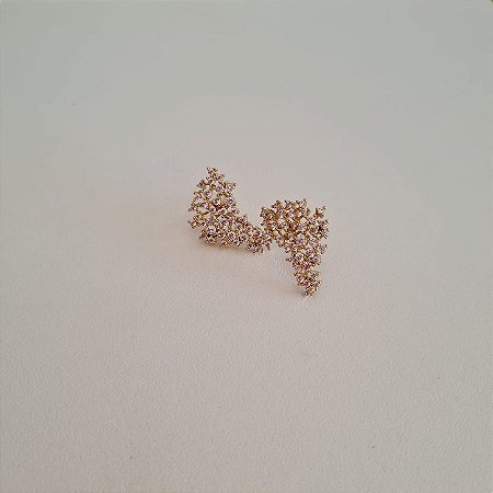 Brinco Dourado