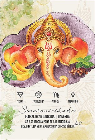 FLORAL GRAN GANESHA | SINCRONICIDADE - 200ml